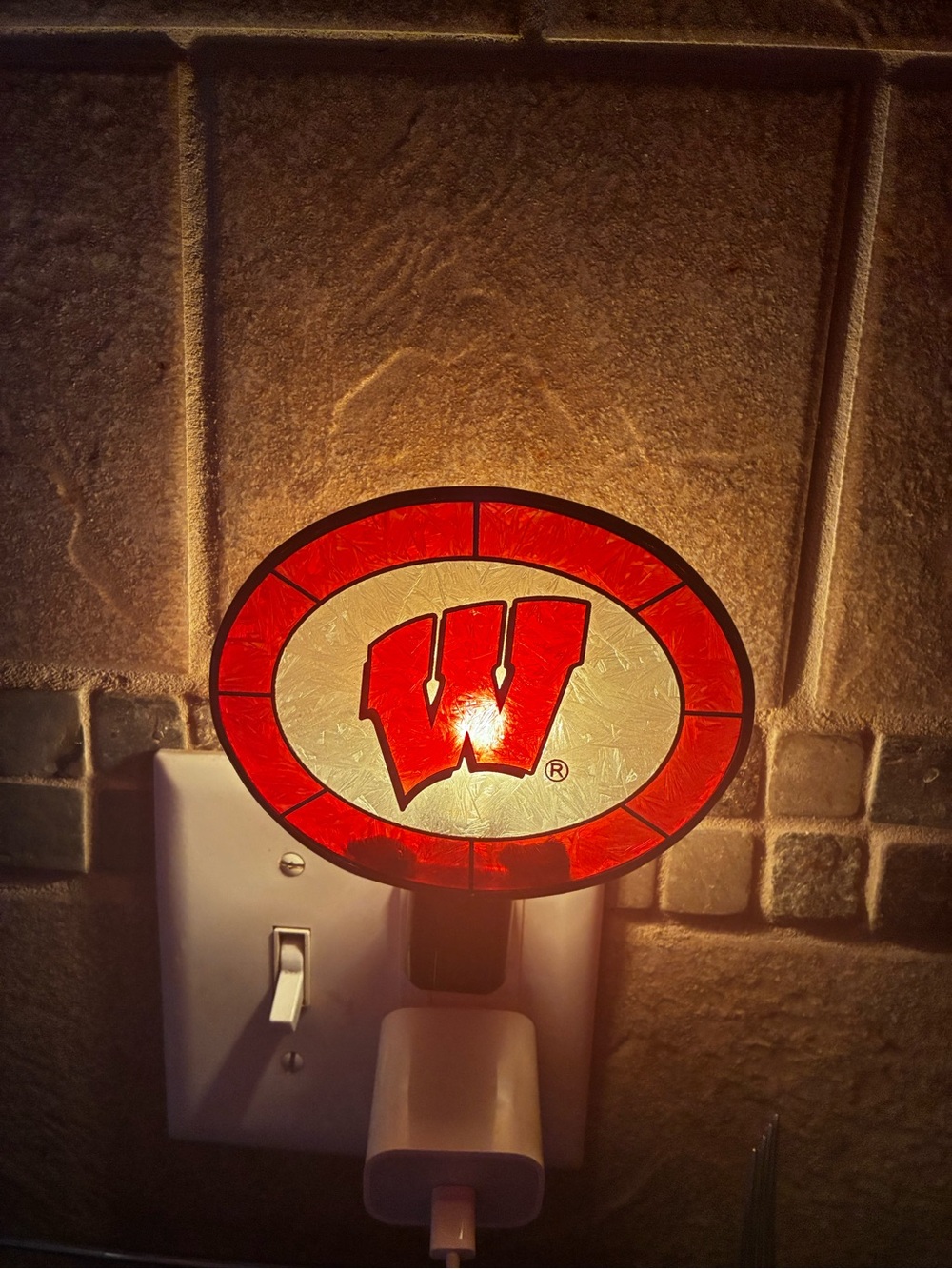 Wisconsin Badgers Sports Superfan Logo Art Glass Wall Outlet Night Light AS IS